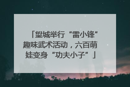 望城举行“雷小锋”趣味武术活动，六百萌娃变身“功夫小子”