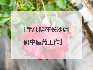 毛伟明在长沙调研中医药工作