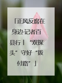 正风反腐在身边·记者百县行丨“双探头”守好“拨付路”