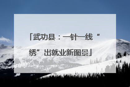 武功县：一针一线“绣”出就业新图景