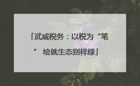 武威税务：以税为“笔” 绘就生态别样绿