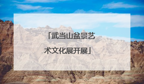 武当山盆景艺术文化展开展