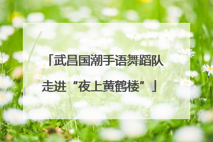 武昌国潮手语舞蹈队走进“夜上黄鹤楼”