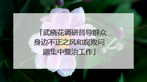 武晓花调研督导群众身边不正之风和腐败问题集中整治工作