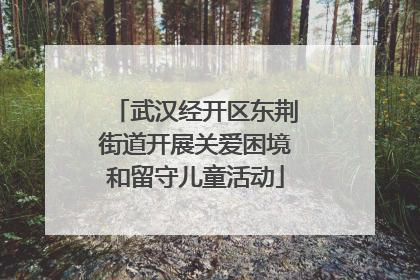 武汉经开区东荆街道开展关爱困境和留守儿童活动