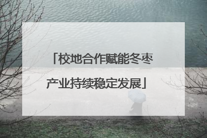 校地合作赋能冬枣产业持续稳定发展
