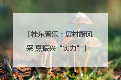 桂东普乐：展村厨风采 烹振兴“实力”