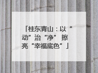 桂东青山：以“动”治“净” 擦亮“幸福底色”