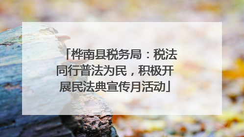 桦南县税务局：税法同行普法为民，积极开展民法典宣传月活动