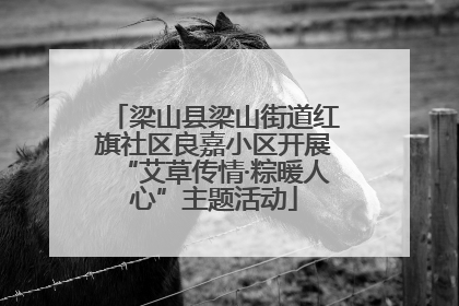 梁山县梁山街道红旗社区良嘉小区开展“艾草传情·粽暖人心”主题活动