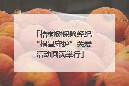 梧桐树保险经纪“桐星守护”关爱活动圆满举行