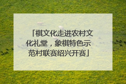 棋文化走进农村文化礼堂，象棋特色示范村联赛绍兴开赛