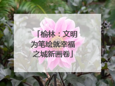 榆林：文明为笔绘就幸福之城新画卷
