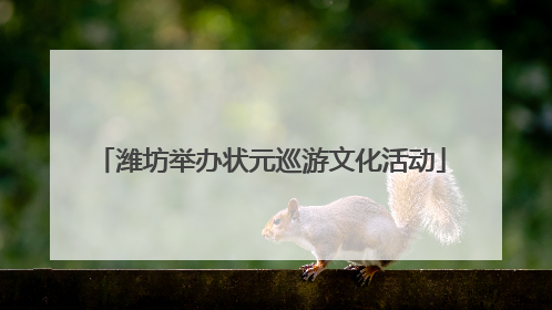 潍坊举办状元巡游文化活动