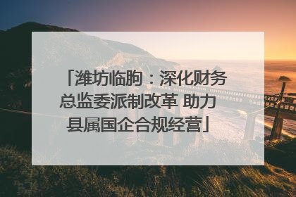 潍坊临朐：深化财务总监委派制改革 助力县属国企合规经营