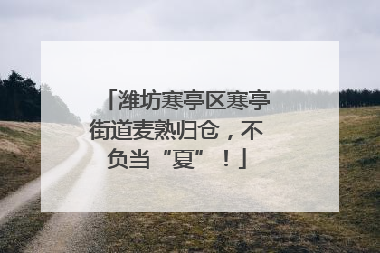 潍坊寒亭区寒亭街道麦熟归仓，不负当“夏”！