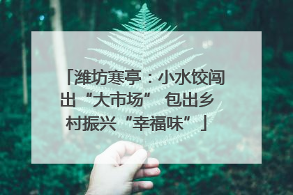 潍坊寒亭：小水饺闯出“大市场” 包出乡村振兴“幸福味”