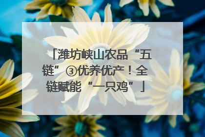 潍坊峡山农品“五链”③优养优产！全链赋能“一只鸡”