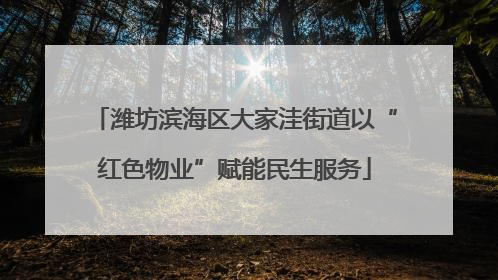 潍坊滨海区大家洼街道以“红色物业”赋能民生服务