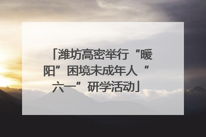 潍坊高密举行“暖阳”困境未成年人“六一”研学活动