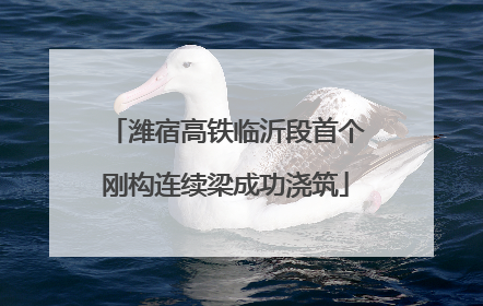 潍宿高铁临沂段首个刚构连续梁成功浇筑