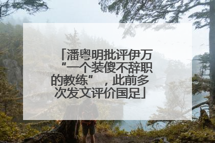 潘粤明批评伊万“一个装傻不辞职的教练”，此前多次发文评价国足