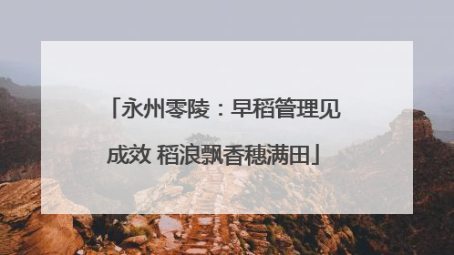 永州零陵：早稻管理见成效 稻浪飘香穗满田