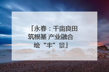 永春：千亩良田筑根基 产业融合绘“丰”景