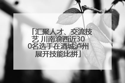 汇聚人才、交流技艺 川南渝西近300名选手在酒城泸州展开技能比拼