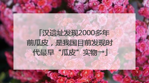 汉遗址发现2000多年前瓜皮，是我国目前发现时代最早“瓜皮”实物→