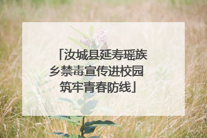 汝城县延寿瑶族乡禁毒宣传进校园 筑牢青春防线