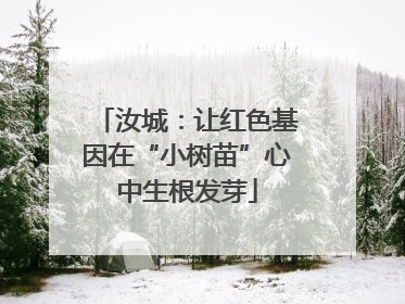 汝城：让红色基因在“小树苗”心中生根发芽