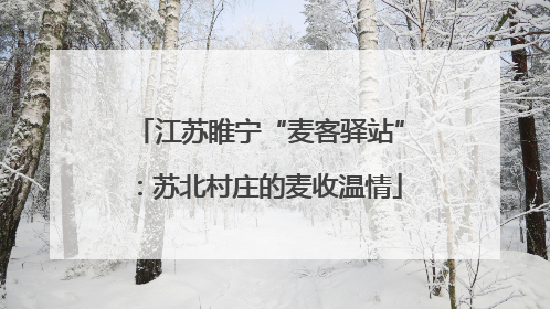 江苏睢宁“麦客驿站”：苏北村庄的麦收温情