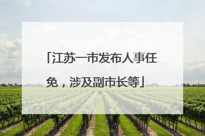 江苏一市发布人事任免，涉及副市长等
