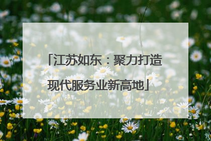 江苏如东：聚力打造现代服务业新高地