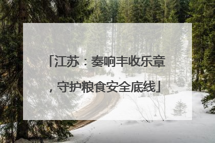 江苏：奏响丰收乐章，守护粮食安全底线