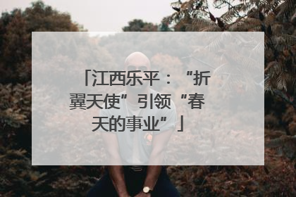 江西乐平：“折翼天使”引领“春天的事业”