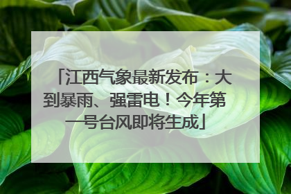 江西气象最新发布：大到暴雨、强雷电！今年第一号台风即将生成