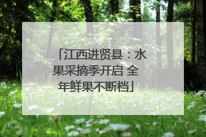 江西进贤县：水果采摘季开启 全年鲜果不断档