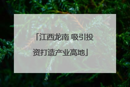 江西龙南 吸引投资打造产业高地