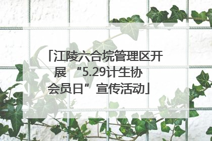 江陵六合垸管理区开展 “5.29计生协会员日”宣传活动