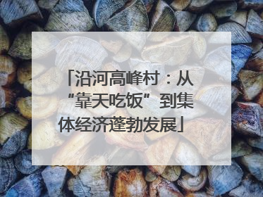 沿河高峰村：从“靠天吃饭”到集体经济蓬勃发展