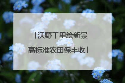 沃野千里绘新景 高标准农田保丰收