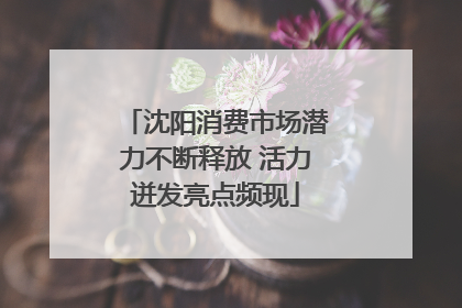 沈阳消费市场潜力不断释放 活力迸发亮点频现