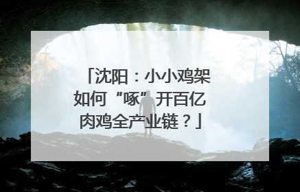 沈阳：小小鸡架如何“啄”开百亿肉鸡全产业链？