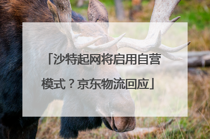 沙特起网将启用自营模式？京东物流回应