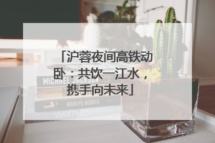 沪蓉夜间高铁动卧：共饮一江水，携手向未来