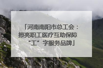 河南南阳市总工会：擦亮职工医疗互助保障“工”字服务品牌
