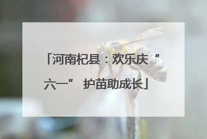 河南杞县：欢乐庆“六一” 护苗助成长