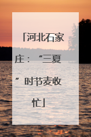 河北石家庄：“三夏”时节麦收忙